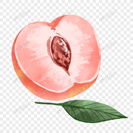 WWW,33eee·COM网站APPAPP应用
