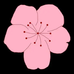 精彩破门视频APPAPP应用