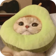 亚洲金品视频APP应用